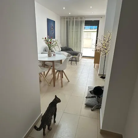 Ground Floor On The Seafront With Pool